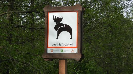 łosiostrada, Joanna