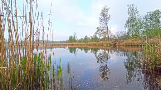 Żabie Doły