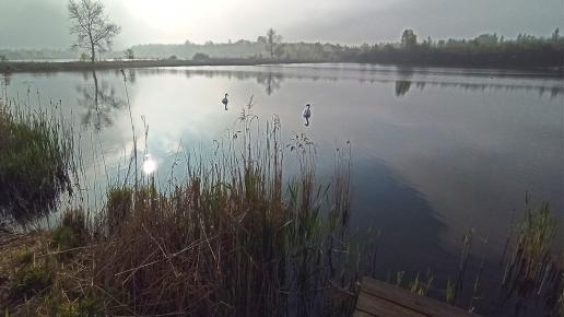 Żabie Doły