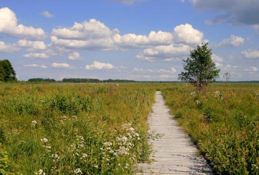Poleski Park Narodowy - ścieżka dydaktyczna Czahary, Magdalena