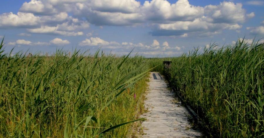 W dzikiej zieleni Polesia - III DZIEŃ – Trzy ścieżki szczęścia: Perehod/ Obóz powstańczy/ Czahary – - zdjęcie