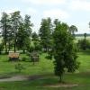 widok z wieży, Joanna