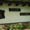 galeria bociania, Joanna