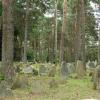 mizar w Kruszynianach, Joanna