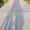 , MaciejW