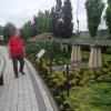 , marian