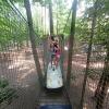 Amerykański Park Rozrywki Twinpigs