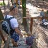 Amerykański Park Rozrywki Twinpigs