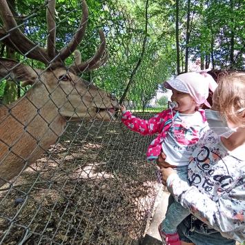 Park Przygód i Atrakcji w Wilkowicach
