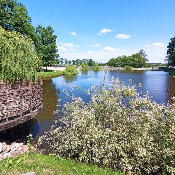 Park Przygód i Atrakcji w Wilkowicach