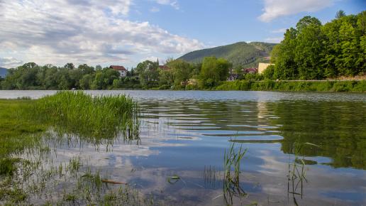 Jezioro Międzybrodzkie