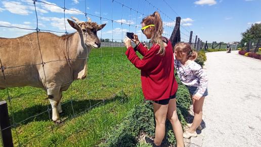 Park Przygód i Atrakcji w Wilkowicach