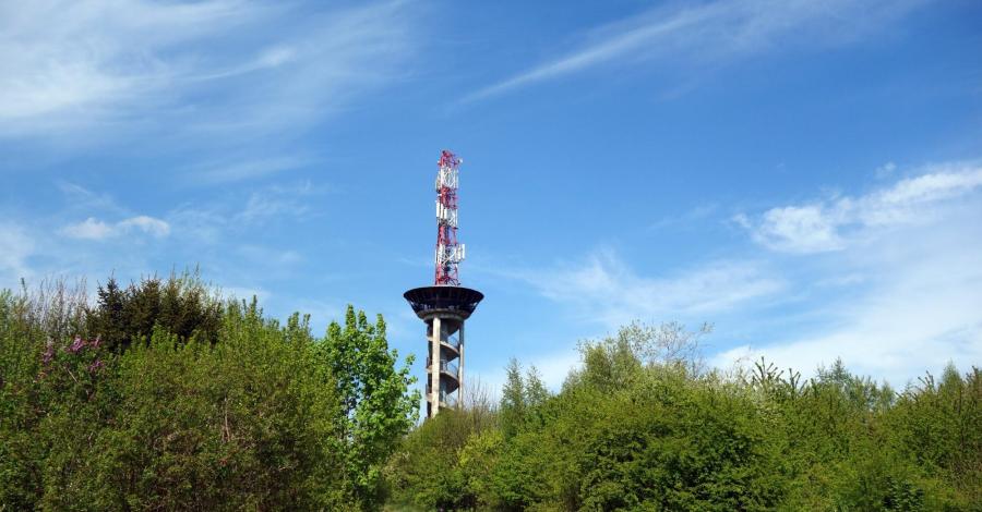 Na spacer do żeremi - Łęg nad Swelinią - zdjęcie