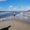, marian