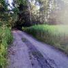 , MaciejW