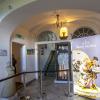 Muzeum Porcelany w Wałbrzychu