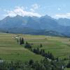 , Piotr Galas