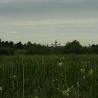 łąki nad Supraślą, Joanna