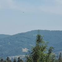 , mirosław
