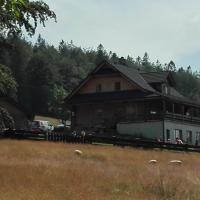, mirosław