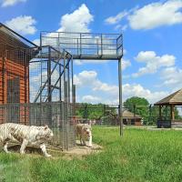 Zoo Safari Borysew