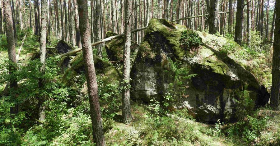 Wokół fortu IV Twierdzy Osowiec – na jagody i do wody - zdjęcie