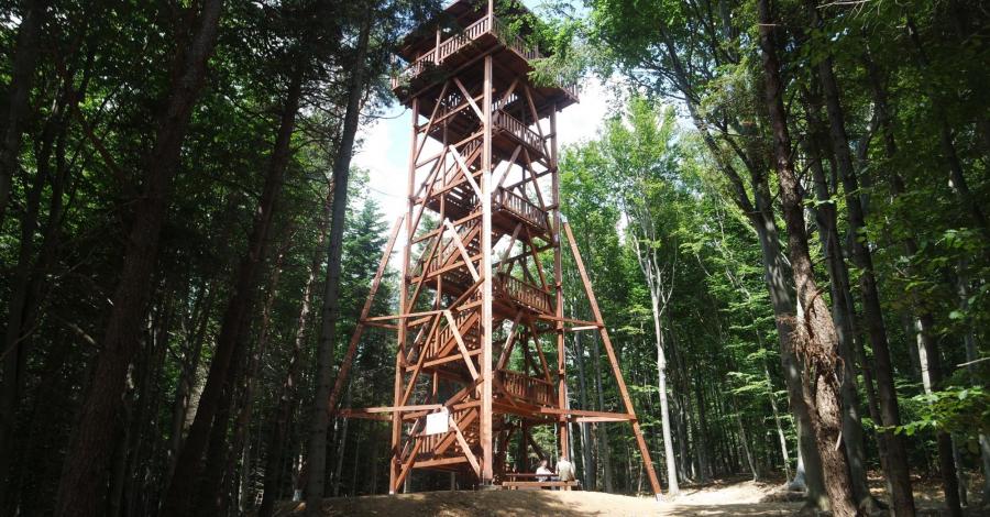 Beskid Niski ; Ferdel , rezerwat Kornuty - zdjęcie