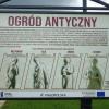Ogrody Magiczne, allie
