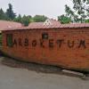 , marian