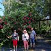 arboretum Stradomia, marian