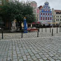 , marian