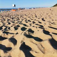 Plaża , MaciejW