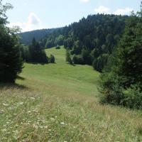 , Piotr Galas