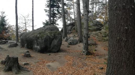 Droga do Skałek, MaciejW