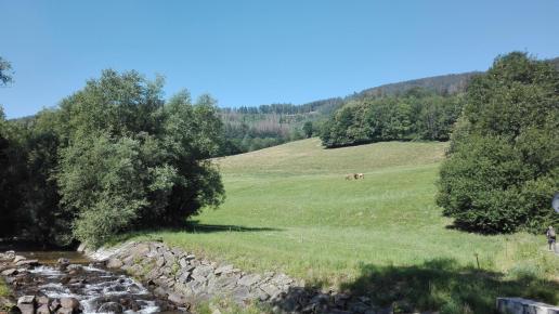 widok, mirosław