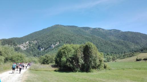 prosiek, mirosław