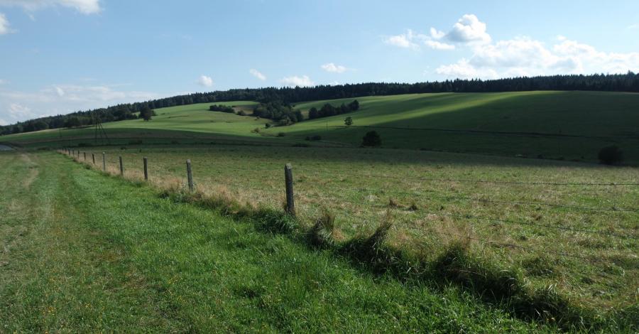 Beskid Niski ; Wołowiec , Nieznajowa ,Czarne - zdjęcie