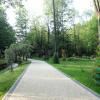 Park Słotwiński, allie