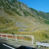 , marian