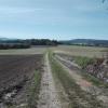widok, mirosław