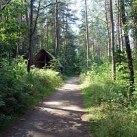 Osada Łowców Fok, allie