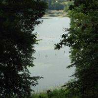 widok na Jezioro Zatorek, Joanna