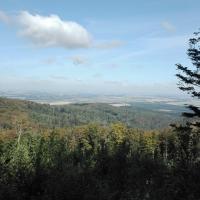 widok, mirosław