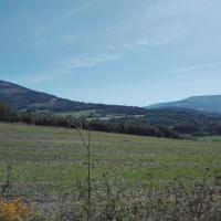 widok, mirosław