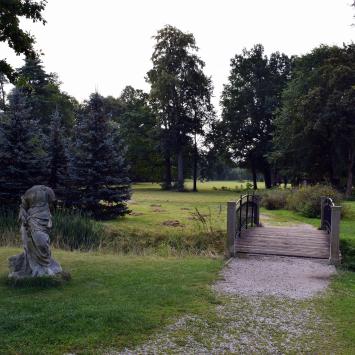 Park pałacowy, MaciejW