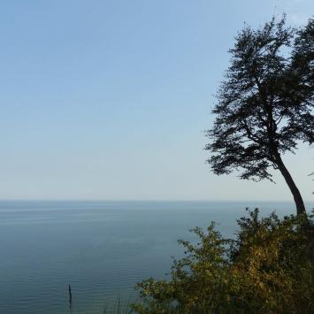 widok ze wzgórza Gosań, Joanna