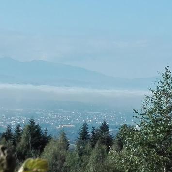 widok, mirosław