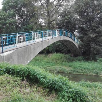mostek, mirosław