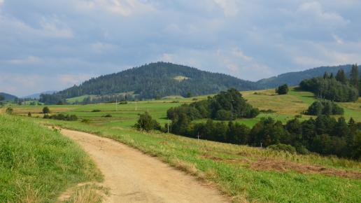 W drodze na Maciejową, Maciej A