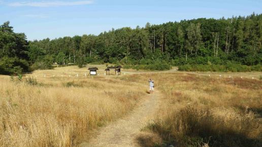 Wolin, Wzgórze Wisielców, Joanna